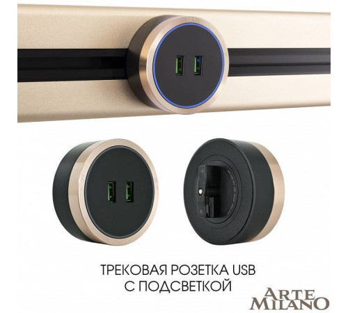 Розетка 2xUSB на треке Arte Milano Am-track-sockets 380066TS LED/USBx2 Gold