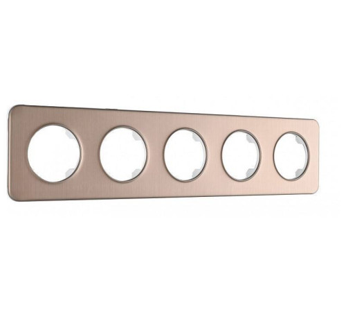 Рамка на 5 постов Arte Milano am-502.07 502.07-5.shampan
