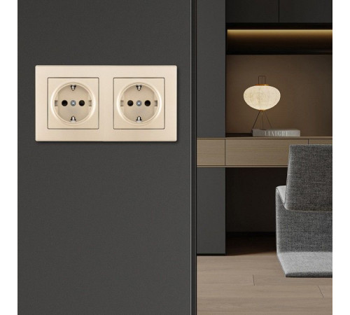 Розетка с заземлением и со шторкой Arte Milano SET06-2 SET06-2-40-1x2 shampan