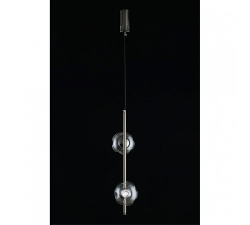 Подвесной светильник Aployt Tereze APL.074.16.02