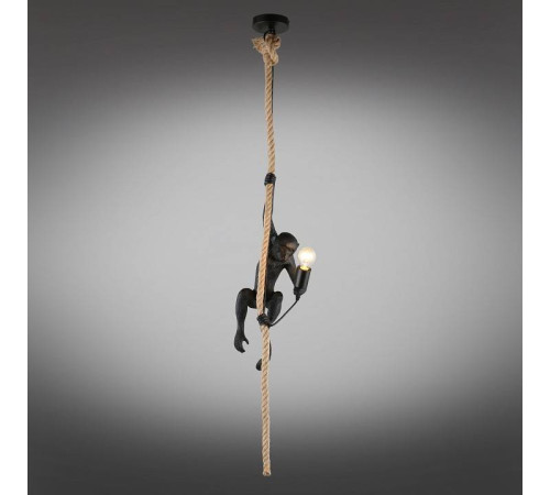 Подвесной светильник Aployt Magali APL.309.16.01