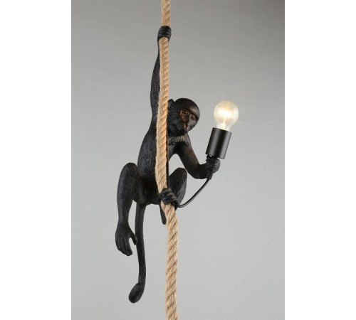 Подвесной светильник Aployt Magali APL.309.16.01