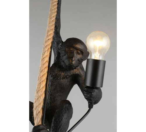 Подвесной светильник Aployt Magali APL.309.16.01