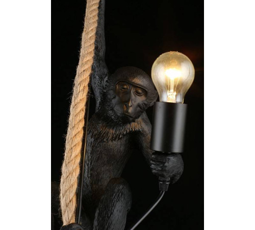 Подвесной светильник Aployt Magali APL.309.16.01