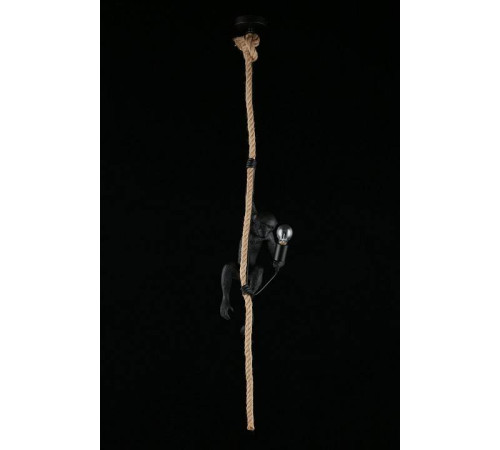 Подвесной светильник Aployt Magali APL.309.16.01