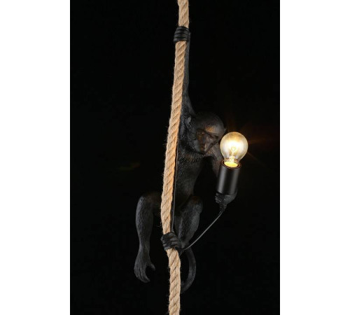 Подвесной светильник Aployt Magali APL.309.16.01