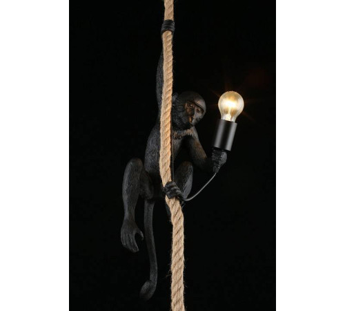 Подвесной светильник Aployt Magali APL.309.16.01