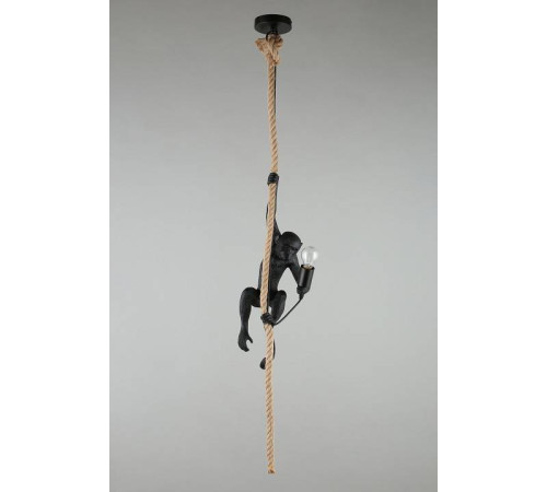 Подвесной светильник Aployt Magali APL.309.16.01