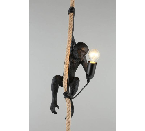 Подвесной светильник Aployt Magali APL.309.16.01