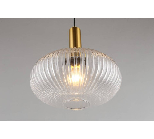 Подвесной светильник Aployt Kornelcia APL.311.06.01