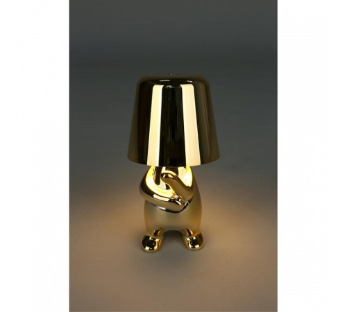 Зверь световой Aployt Noell APL.675.04.01