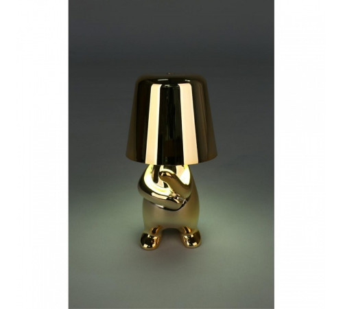 Зверь световой Aployt Noell APL.675.04.01