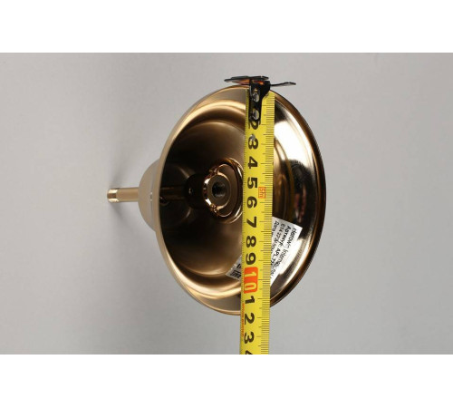 Подвесной светильник Aployt Franula APL.724.06.01