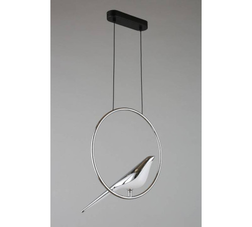 Подвесной светильник Aployt Astor APL.822.16.10