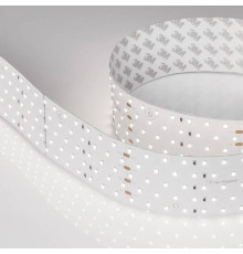 Лента светодиодная Arlight A350 025162(2)