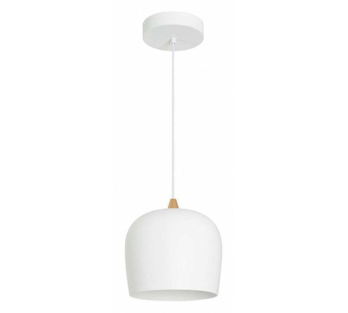 Подвесной светильник Arlight PEONY 39548