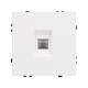 Розетка Ethernet RJ-45 без рамки Arlight SCT 054304