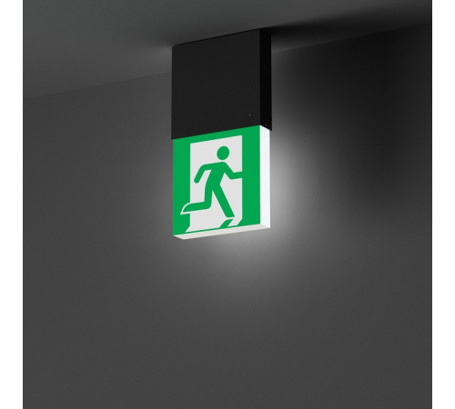 Светильник-указатель Arlight EMG-MARK 057966