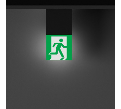 Светильник-указатель Arlight EMG-MARK 057966