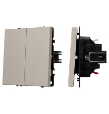 Выключатель двухклавишный без рамки Arlight SWT-NOBE 059419