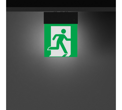 Светильник-указатель Arlight EMG-MARK 059801