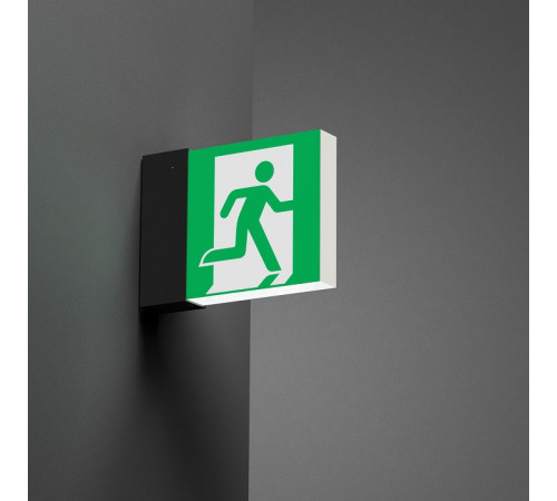 Светильник-указатель Arlight EMG-MARK 059801