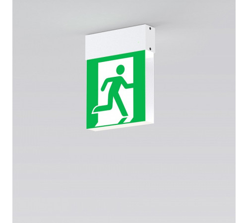 Светильник-указатель Arlight EMG-MARK 059803