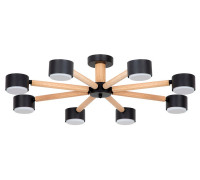 Потолочная люстра Arte Lamp TENDA 8 ламп A1624PL-8BK