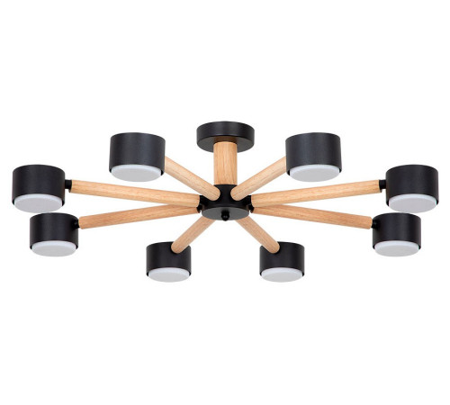 Потолочная люстра Arte Lamp TENDA 8 ламп A1624PL-8BK