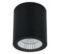 Накладной светильник Arte Lamp A1813 A1813PF-1BK