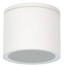 Накладной светильник Arte Lamp Piautos A1913PF-1WH