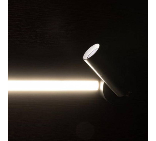 Спот Arte Lamp Rasalas 2 лампы черный A2219PL-2BK