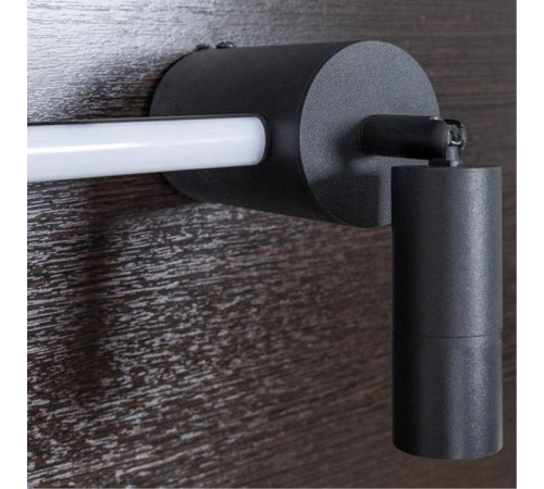Спот Arte Lamp Rasalas 2 лампы черный A2219PL-2BK