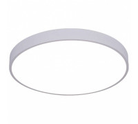 Накладной светильник Arte Lamp Arena A2670PL-1WH