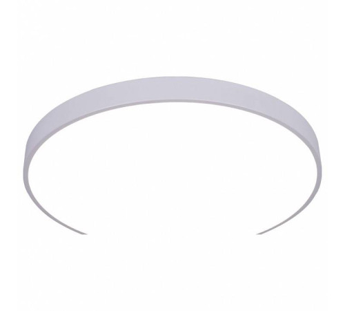 Накладной светильник Arte Lamp Arena A2671PL-1WH