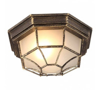 Накладной светильник Arte Lamp Pegasus A3121PF-1BN