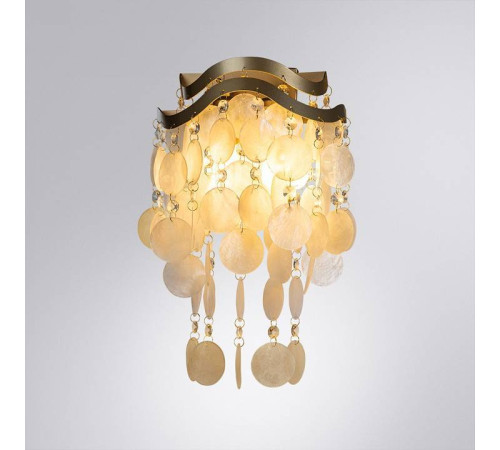 Накладной светильник Arte Lamp Pipirima A4065AP-2SG