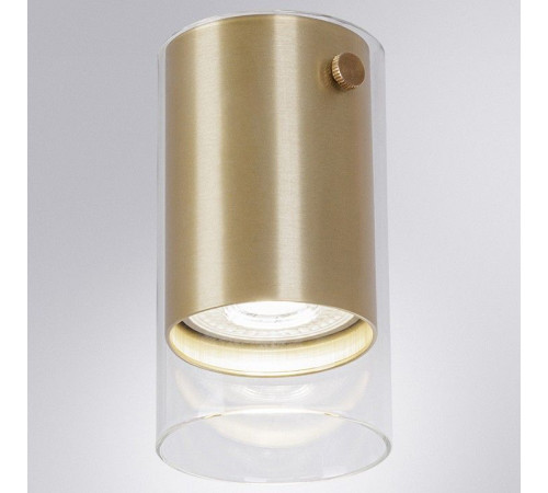 Накладной светильник Arte Lamp Lazio A5365PL-1SG