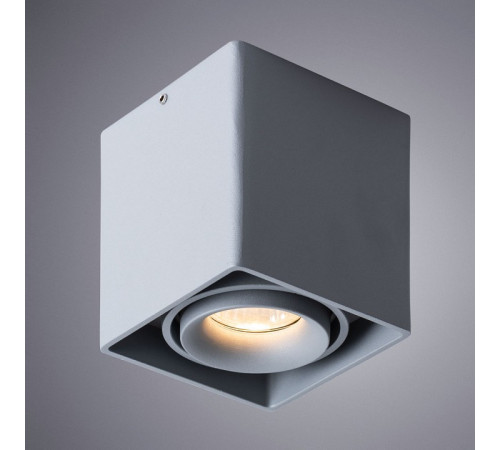 Накладной светильник Arte Lamp Pictor A5654PL-1GY