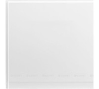 Панель боковая Aquanet PALMA 60 L 00176937