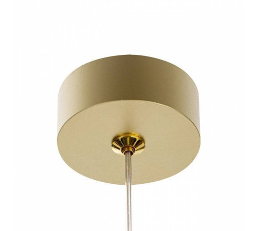 Подвесной светильник Citilux Hardy CL002P12