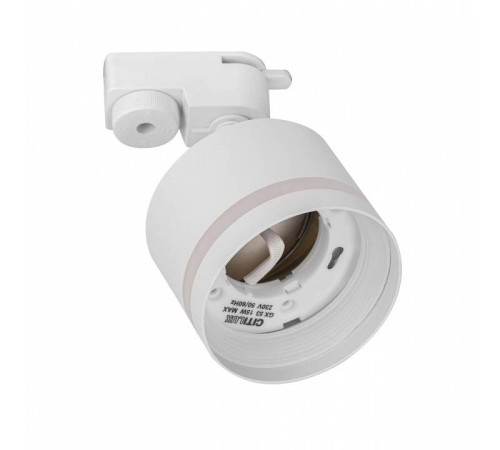 Светильник на штанге Citilux Hardy CL002T10