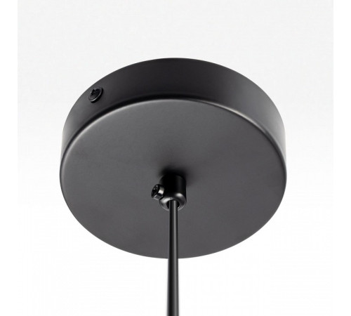 Подвесной светильник Citilux ORTON CL202022