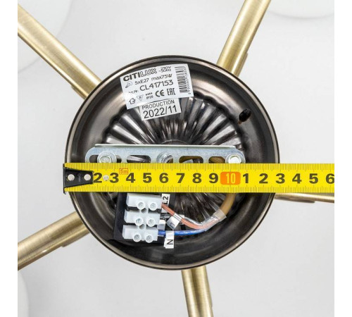 Люстра на штанге Citilux Франческа CL417153