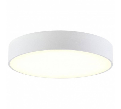 Накладной светильник Citilux Тао CL712240N