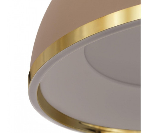 Подвесной светильник Citilux FLOOM CL736252