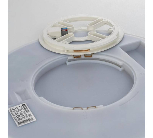 Накладной светильник Citilux Norma CL749320