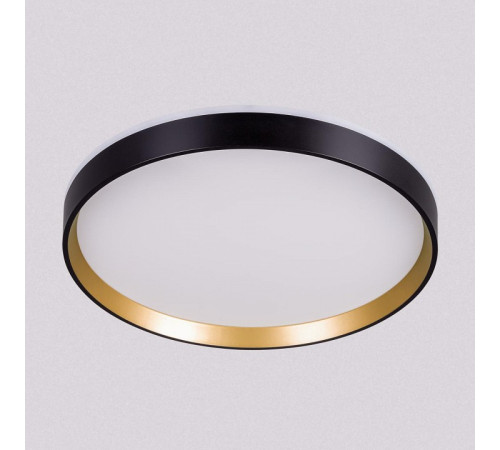 Накладной светильник Citilux ETALON CL750321R