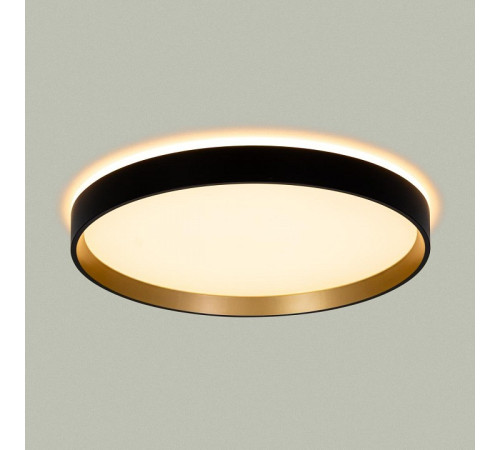 Накладной светильник Citilux ETALON CL750321R