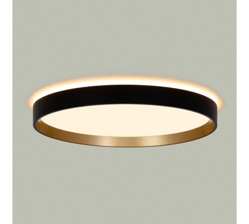 Накладной светильник Citilux ETALON CL750321R